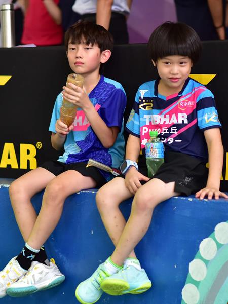 鄉長盃桌球錦標賽 (501)